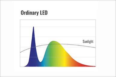 Seoul Semiconductor Brings SunLike LED Technology Home