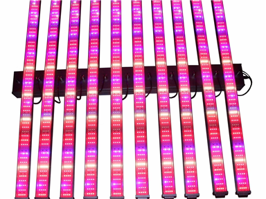 1200W SUNWHITE Growth Light