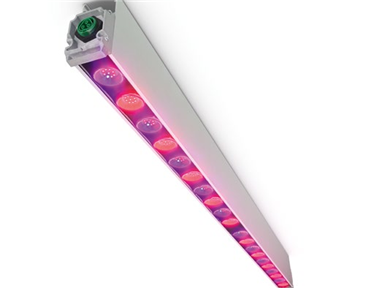 SUNWHITE Top Line Growth Light